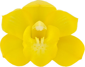 bloemgrootte: 8391