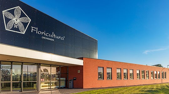 Floricultura, locatie Strengweg