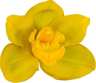 bloemgrootte: 8397