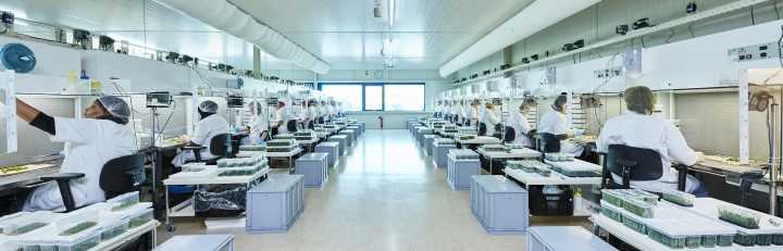 Lab medewerkers