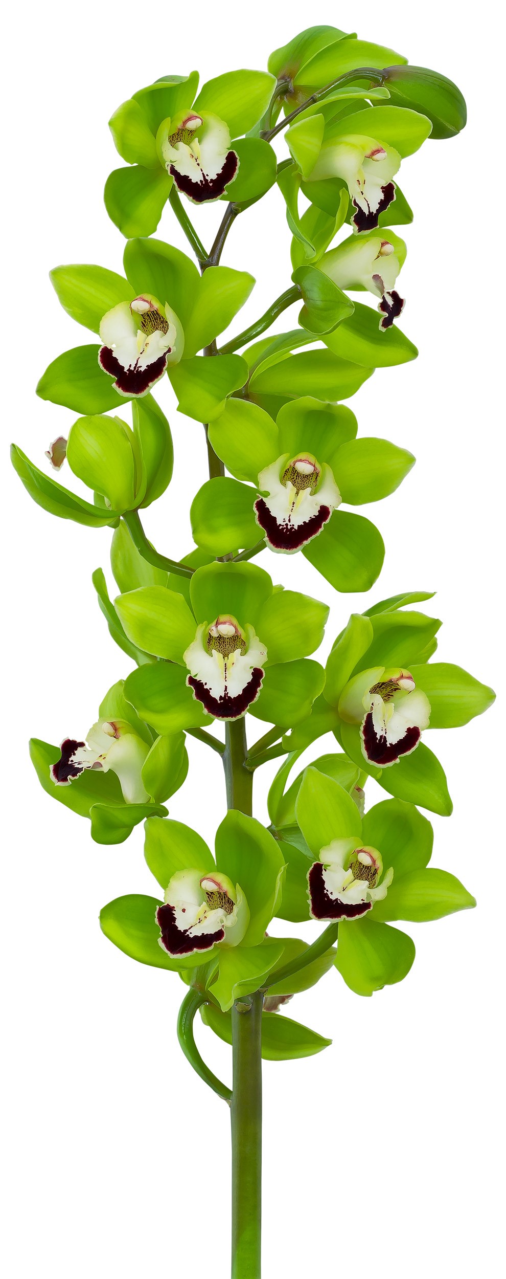 8655