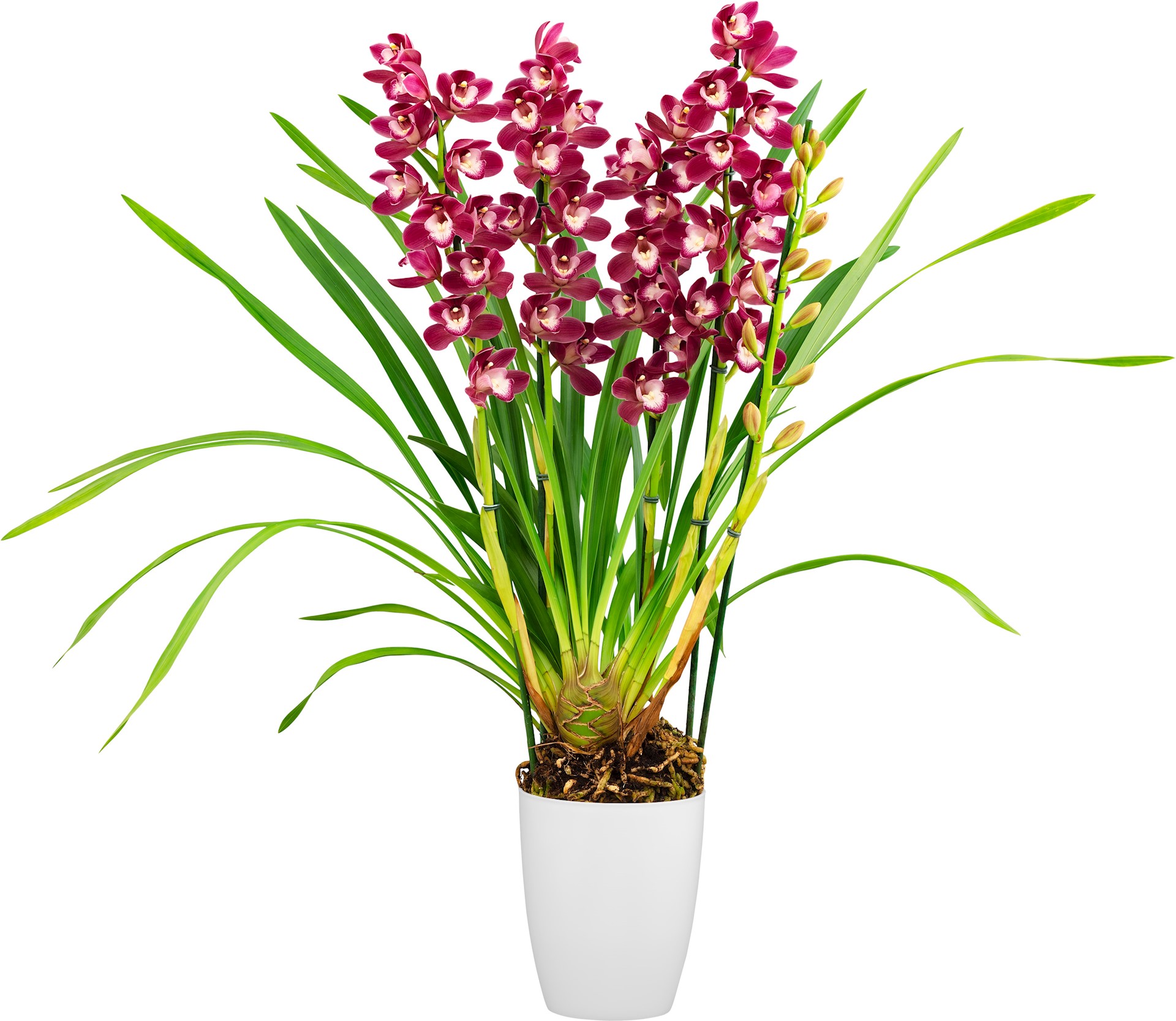 8653